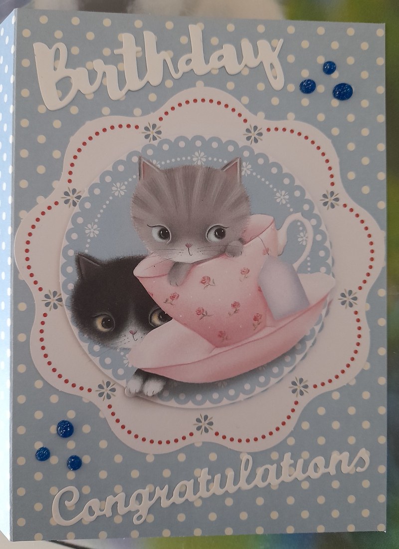 Geburtstagskarte Kätzchen