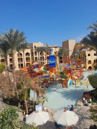 IMG-20250118-WA0116.jpg