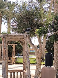 IMG_20250104_101815.jpg