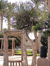 IMG_20250104_101817.jpg