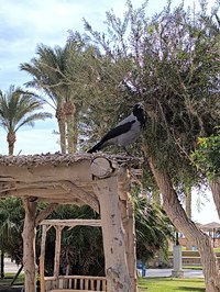 IMG_20250104_101829.jpg