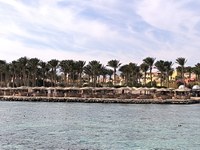 IMG_20250104_103118.jpg