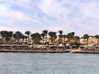 IMG_20250104_103121.jpg