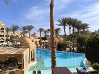 IMG_20250104_105044.jpg