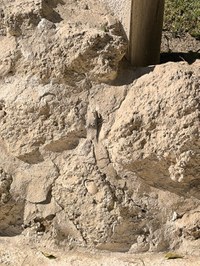 IMG_20250104_112723.jpg