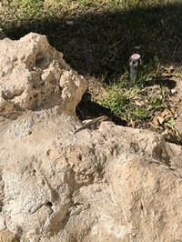 IMG_20250104_113018.jpg