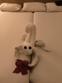 IMG_20250105_184007.jpg