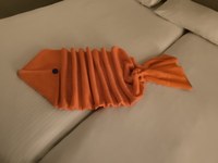 IMG_20250106_123853.jpg