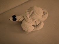 IMG_20250108_190043.jpg