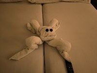 IMG_20250109_192634.jpg