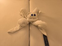 IMG_20250109_192701.jpg