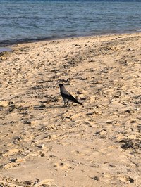IMG_20250110_152316.jpg