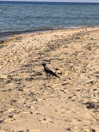 IMG_20250110_152318.jpg
