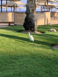 IMG_20250110_153340.jpg