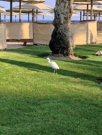 IMG_20250110_153342.jpg