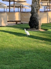 IMG_20250110_153342_1.jpg