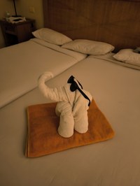 IMG_20250112_174523.jpg