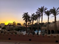 IMG_20250113_064733.jpg