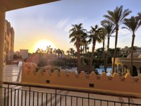 IMG_20250113_070611.jpg