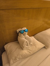 IMG_20250113_184538.jpg