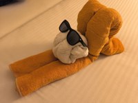 IMG_20250114_183330.jpg