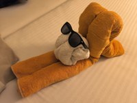 IMG_20250114_183331.jpg