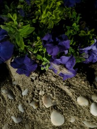 IMG_20250115_182458.jpg