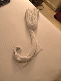 IMG_20250115_183323.jpg