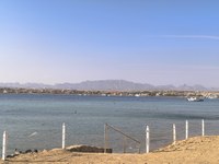 IMG_20250116_084849.jpg