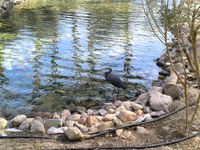 IMG_20250116_102730.jpg