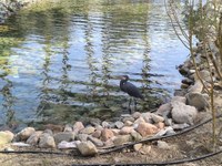 IMG_20250116_102732.jpg