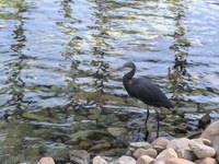 IMG_20250116_102735.jpg