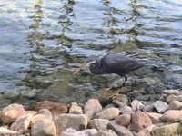IMG_20250116_102740.jpg