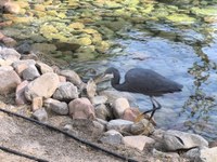 IMG_20250116_102747.jpg