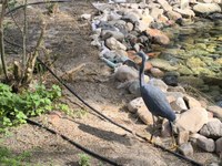 IMG_20250116_102752.jpg