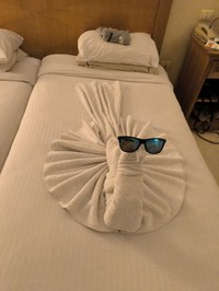 IMG_20250116_183651.jpg