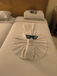 IMG_20250116_183654.jpg