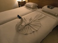 IMG_20250116_183659.jpg