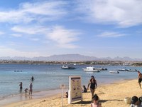 IMG_20250117_102155.jpg
