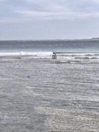 IMG_20250117_144433.jpg
