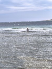 IMG_20250117_144439.jpg