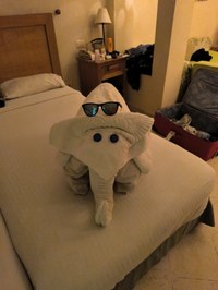 IMG_20250117_184547.jpg