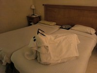 IMG_20250117_184556.jpg