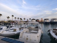IMG_20250108_164530.jpg