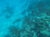 IMG_20250110_110753.jpg