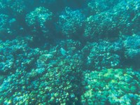 IMG_20250110_110807.jpg