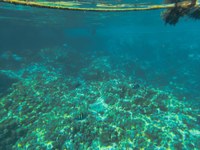 IMG_20250110_110836.jpg