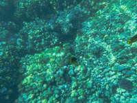 IMG_20250110_110843.jpg