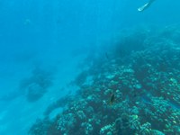 IMG_20250110_110904.jpg