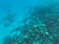 IMG_20250110_110917.jpg